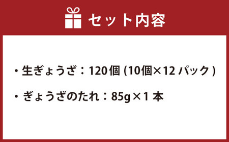 鹿児島 生ぎょうざ 120個セット(10個×12パック) 餃子のたれ付き AS-937