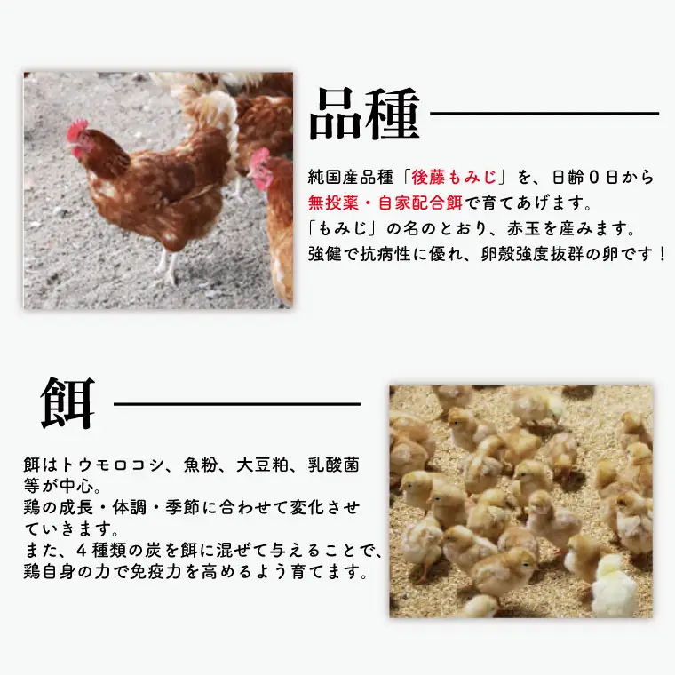 平飼いたまご 20個 高橋ファームの丈夫卵 もみじ AQ001