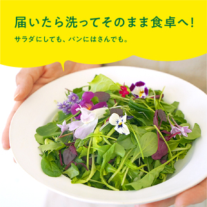931 マイクロリーフミックス【40ｇ】＆エディブルフラワーミックス【20輪】セット