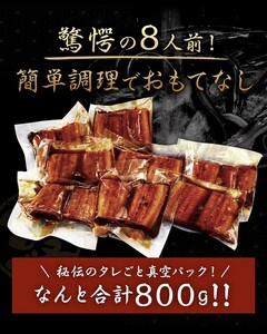 鰻小食パック驚愕の8人前_うなぎ 小食 パック 8人前 計約800g 蒲焼 うなぎ巻き ひつまぶし お茶漬け 簡単調理 湯煎 ギフト お土産 お祝い ご褒美 グルメ 惣菜 冷凍 お取り寄せ 福岡県 久留米市 送料無料 〔Cu032〕