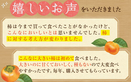 【先行予約】【10月中旬～11月下旬発送】種なし柿 太月・渋抜き柿 3kg【小林農園】[HAX001]かき 果物 フルーツ