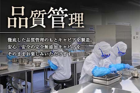 訳あり 数量限定 5つ星ホテル採用 宮崎県産 キャビア 詰め合わせ セット 合計200g 魚卵 魚介 魚貝 国産 熟成 新鮮 高級 希少 食品 三大珍味 黒いダイヤ おすすめ 水産物 おつまみ ご褒美 お祝い 記念日 パーティー 日南市 送料無料_XF1-25