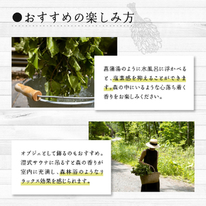 北海道芽室町産「白樺ヴィヒタ」2束サウナグッズ バスグッズ ビヒタ 健康 森林浴 インテリア スワッグ 装飾 送料無料 北海道 十勝 芽室町 送料無料 me055-002c-3