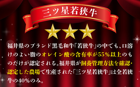 三ツ星若狭牛 五味焼のお食事ご利用券6,000円分 [B-091001] [BFCN001]