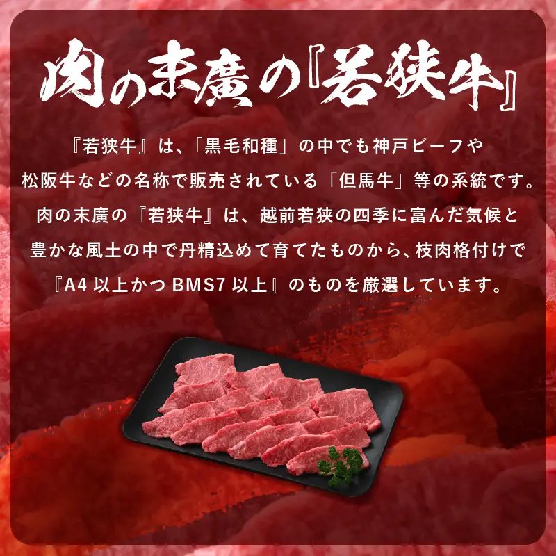 【ブランド肉】若狭牛 和牛肩ロース 焼肉用 計500ｇ 国産肉 冷凍 [e02-b009]