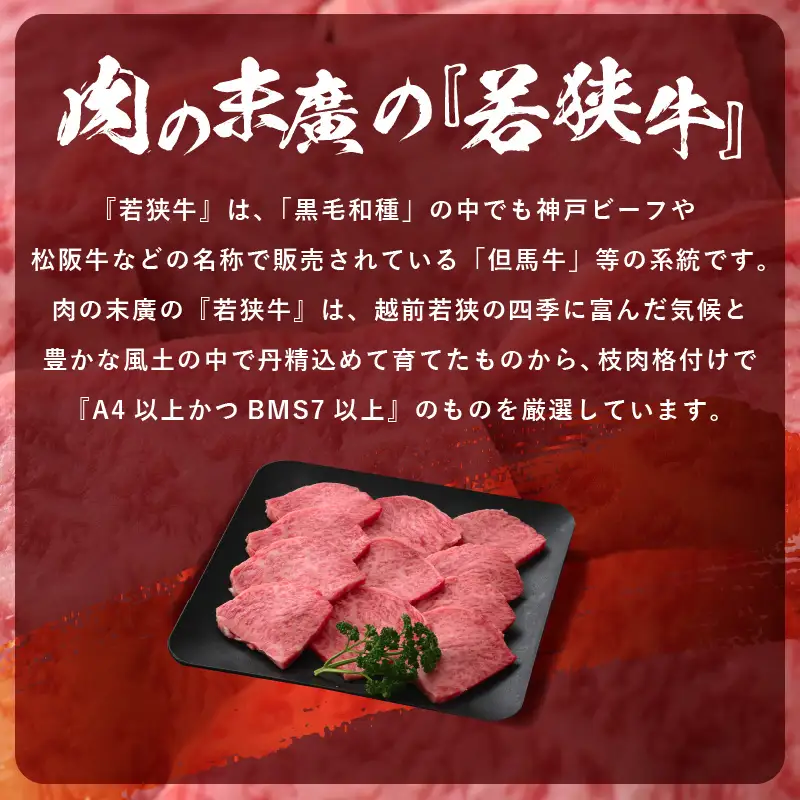 【ブランド肉】若狭牛 和牛ロース 焼肉用 計500g 国産肉 冷凍 [e02-c011]