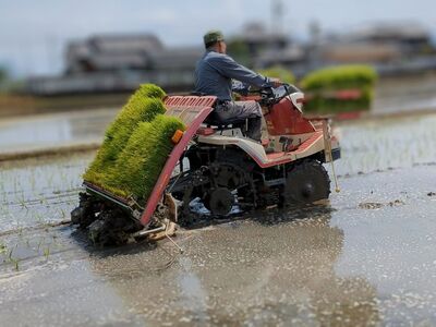 ひのひかり 玄米 5kg 奈良県 三宅町 ヒノヒカリ 堆肥 ミネラル栽培 志埜米穀店