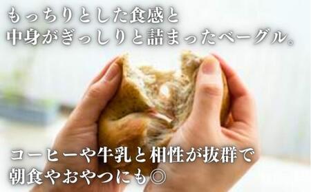 定期便 3回 ベーグル 計36個 12個×3回  ﾍﾞｰｸﾞﾙﾍﾞｰｸﾞﾙﾍﾞｰｸﾞﾙﾍﾞｰｸﾞﾙ