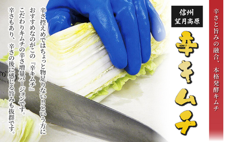 信州望月高原辛キムチ（3個セット）｜国産キムチ 白菜キムチ 発酵食品 漬物 信州キムチ 自家製キムチ 国産キムチ