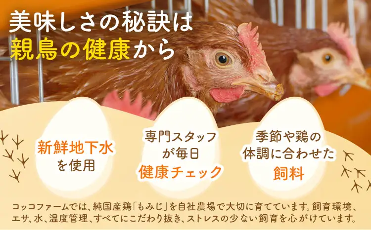 コッコファームのかしわめしの素 5袋セット 5人前 250g×5袋 コッコファーム《90日以内に出荷予定(土日祝除く)》熊本県 菊池市 かしわめし かしわめしの素 炊き込みご飯 炊き込みご飯の素 セット 冷蔵 送料無料