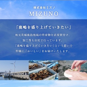 鹿島だこ【たこ タコ 蛸 海鮮 新鮮 魚貝 地たこ 刺身 鹿島灘 鹿嶋市 茨城県 20000円以内 2万円以内】（KM-9）