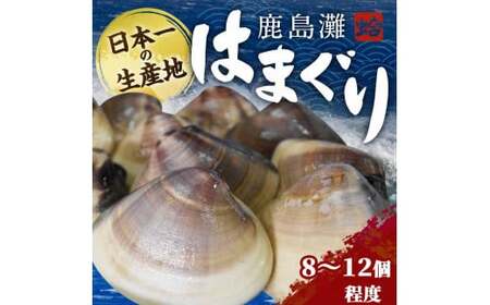 はまぐり 鹿島灘はまぐり 8~12粒程度 【 はまぐり 】