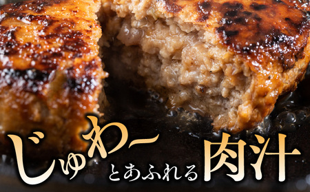 宮崎牛ペッパーハンバーグ 100ｇ 10個入