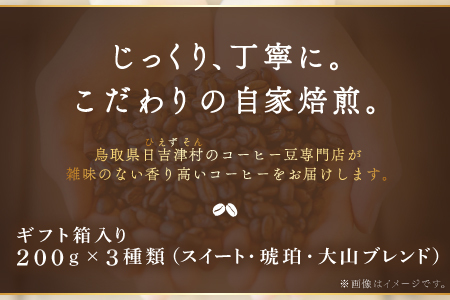 自家焙煎コーヒー（粉）ギフト箱入り　600g（200g×3種）