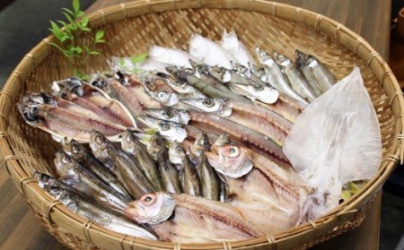 特選干物セット【干物 干もの ひもの 冷凍 詰め合わせ 詰合せ セット 特選 旬 季節 地場産品 ご当地 おまかせ ギフト お歳暮 お中元 お取り寄せ 山陰 日本海 鳥取県 日吉津村】