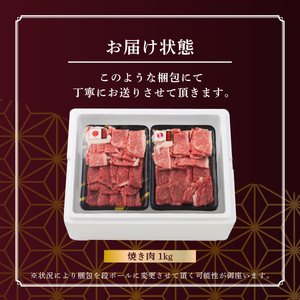 牛肉 焼肉 A5 ランク 米沢牛 500g 2パック 計1kg [佐貝肉店 山形県 高畠町 tk06ayt260005]