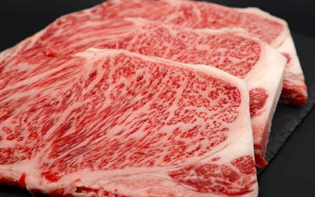 【肉の横綱】伊賀牛サーロインステーキ 150g×3枚【ymmt0006】