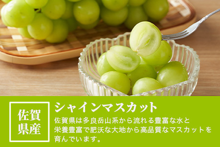シャインマスカット 約1.2kg 2～3房 ご家庭用 佐賀県産 【先行予約 2026年8月上旬以降発送】| シャインマスカット 2026 シャイン マスカット ぶどう 葡萄 ブドウ 果物 フルーツ 果実 季節 旬 冷蔵 期間限定 国産 佐賀県 鹿島市 人気 ランキング フルーツ おすすめ B-658