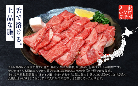 万葉牛 カルビ セット 焼肉用 1kg 鳥取 いなば セット 鳥取和牛 国産牛 | 66M