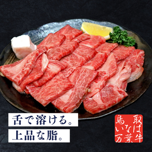 万葉牛 カルビ セット 焼肉用 500g 鳥取 いなば セット 鳥取和牛 国産牛 | 67M
