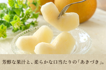 【2026年先行予約】新潟県産 和梨 あきづき 3kg（5〜10玉）《9月中旬以降発送》 梨工房みつば会
