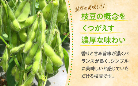 【先行予約】【数量限定100セット】はねっ娘枝豆 3kg（300g×10袋） [AKCZ002]