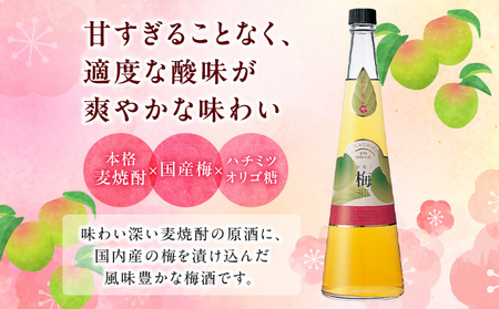 手造り梅酒 14% 720ml×2本セット 梅酒 酒 アルコール 梅酒セット セット 詰め合わせ ロック ストレート 贈答 贈答用 ギフト プレゼント お祝い 祝い 内祝い 記念日 誕生日 お取り寄せ グルメ 家飲み 宅飲み 飲み会 国産 宮崎県 高千穂町 _Tk007-028
