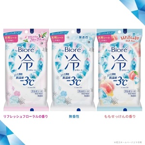 SA2908　花王 ビオレ 冷シート 3種詰め合わせ　計6袋