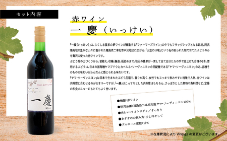 赤ワインセット 一慶【ふくしま農家の夢ワイン株式会社】