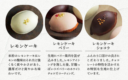 グルテンフリーレモンケーキ 3種[EBR029]  ぐるてんふりー グルテンフリースイーツ スイーツ すいーつ 米粉 こめこ 詰め合わせ お菓子 れもんけーき 長崎 冷凍 個包装 人気 ランダム おかし
