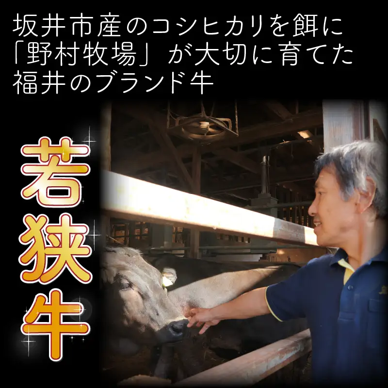 若狭牛ハンバーグ100g × 5個 ナカノ特製100％和牛の極旨品！！ 本格派ハンバーグ！ 【ハンバーグ 若狭牛 国産和牛 黒毛和牛 黒毛和種 ブランド牛 和牛 肉 牛 牛肉 坂井市 福井県産 国産 冷凍 人気】 [A-2001]