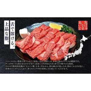 627.鳥取いなば万葉牛 焼肉用 カルビ セット500g | カルビ