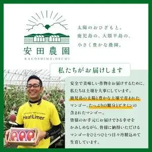 【数量限定/先行予約】マンゴー「はちいり（鉢入り）娘」（ご家庭用1kg箱入り）