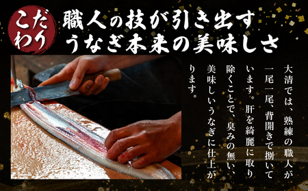 職人 手焼き うなぎ蒲焼 2尾 計260g以上 鰻 魚介類 伝統の味 秘伝のタレ 厳選 国産 ウナギ 真空パック_CD40-23