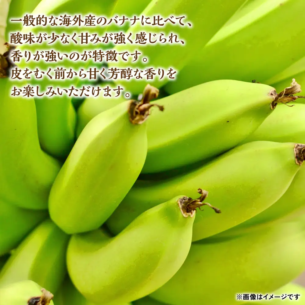 バナナ たかきのバナナ 5本入 化粧箱入り 果物 バナナ