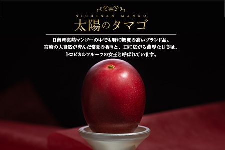 完熟マンゴー 太陽のタマゴ 2玉 ～ 3玉 期間限定 数量限定 マンゴー 宮崎 フルーツ 果物 くだもの 国産 食品 先行予約 2026 令和8年発送 濃厚 デザート おやつ おすすめ 冷蔵 ご褒美 おすそわけ 化粧箱入り ギフト プレゼント 贈り物 贈答 日南市 送料無料_FD13-25