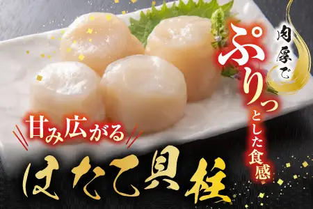 ほたて貝柱500g×5P、いくら醤油漬100g×5Ｐ、鮭フレーク150g×3瓶 E-76002