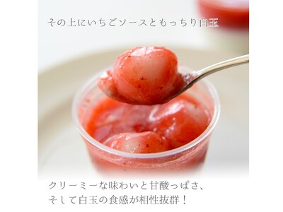 SAISAICAFE　白玉いちご（８個入り）【VA00760】