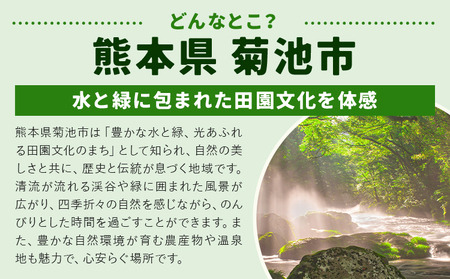【定期便】 野菜 10品程度 計3回【メロンドーム】 定期便 3ヶ月お届け 詰め合わせ セット 国産 九州産 熊本県 菊池市 道の駅 送料無料《お申し込みの翌月から出荷》