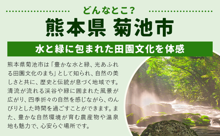 旬の野菜とたまごのセットメロンドーム 野菜 卵 にんにくたまご 卵 詰め合わせ 5ヶ月 定期便 有限会社七城町特産品センター《お申し込みの翌月から出荷》熊本県 菊池市 セット 新鮮 国産 九州産 熊本県 菊池市 道の駅 旬