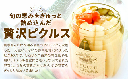 ピクルス 小瓶 6本セット 【メロンドーム】  ピクルス 野菜 酢漬け 漬物 おつまみ 旬の野菜 《30日以内に出荷予定(土日祝除く)》