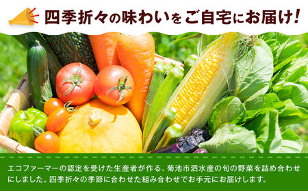 旬の野菜 定期便 計3回 旬の野菜 10品【養生市場】定期便 品種おまかせ ランダム 3ヶ月お届け 計3回 詰め合わせ セット 野菜 九州産 熊本県産《お申し込みの翌月から出荷》