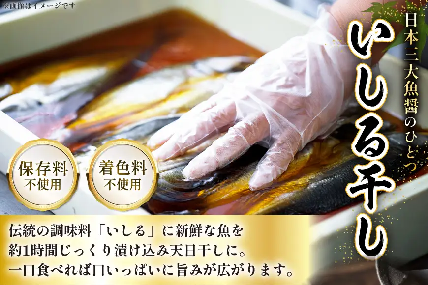 柳八目（メバル）いしる干し 5枚 [能西水産 石川県 志賀町 AD4112]