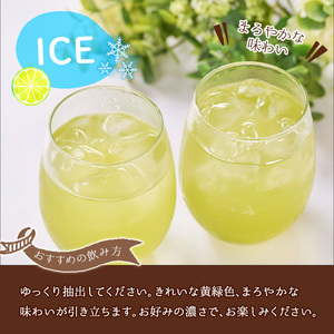 マリンレモン緑茶(4袋・2g×6個) お茶 ティー リフレッシュティー 防災【HD203】【さいき本舗 城下堂】