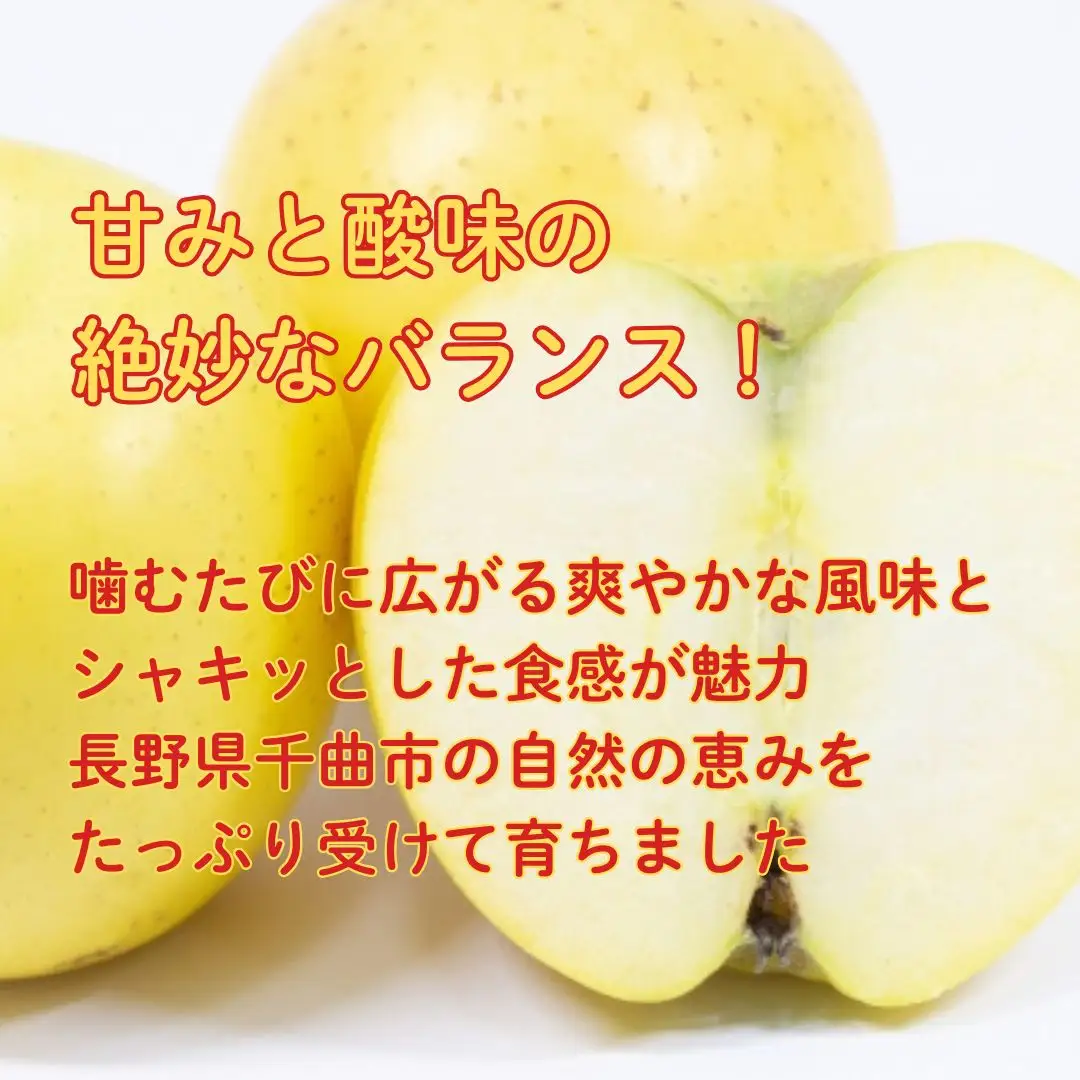【2026年先行予約】シナノゴールド 約3kg| りんご りんご