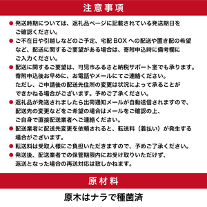 椎茸の原木栽培2夏経過品【0051-001】 岐阜県 可児市 栽培キット 原木栽培 きのこ キノコ 家庭菜園 椎茸 料理 調理 国産 自由研究