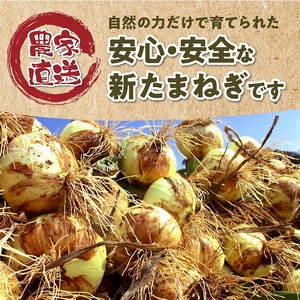 S010-077_令和9年4月出荷 訳あり新たまねぎ【先行受付】