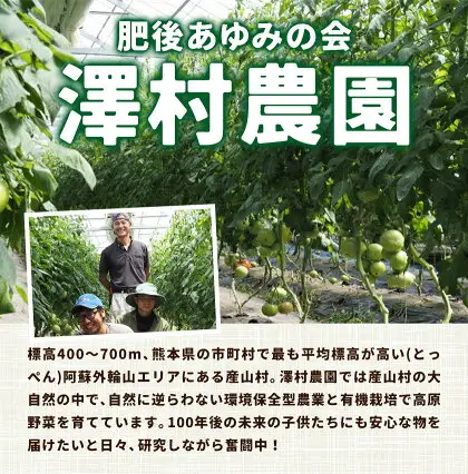 有機JASとっぺんトマト 約4kg 旬 お取り寄せ 詰め合わせ 贈答 ギフト お中元 お歳暮 熊本 阿蘇 産山村 送料無料 トマト 無農薬 有機《7月上旬-8月下旬頃出荷》
