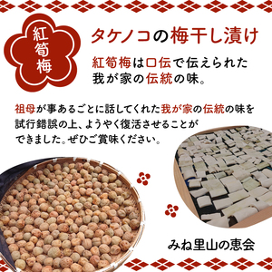 紅筍梅 タケノコの梅干し漬け 紅白梅干しセット 800g