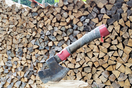 1年間乾燥済 薪7kg / 薪